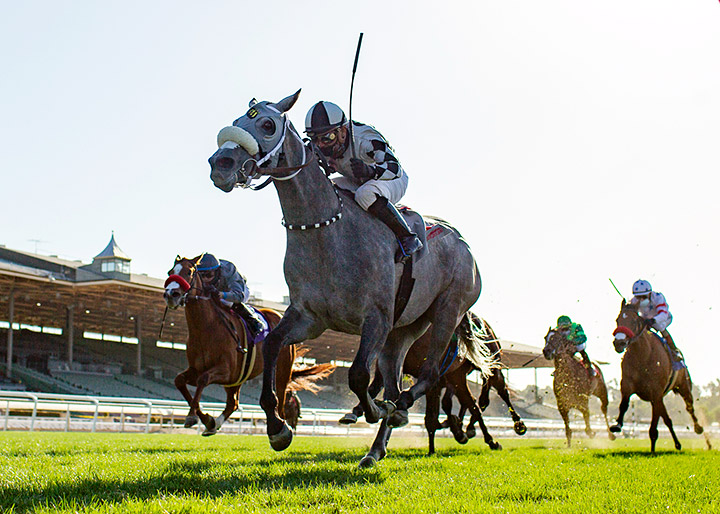 Keeper Ofthe Stars wins the 2020 Gamely Stakes at Santa Anita Park