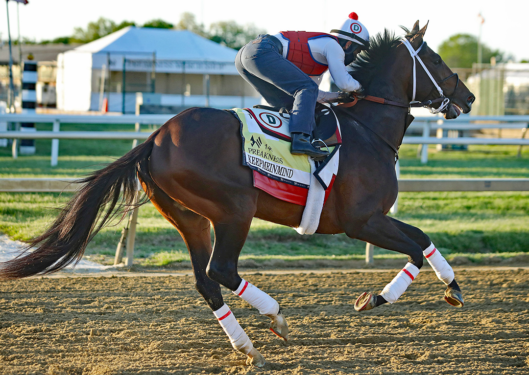 Keepmeinmind trains at Pimlico Race Course on May 13