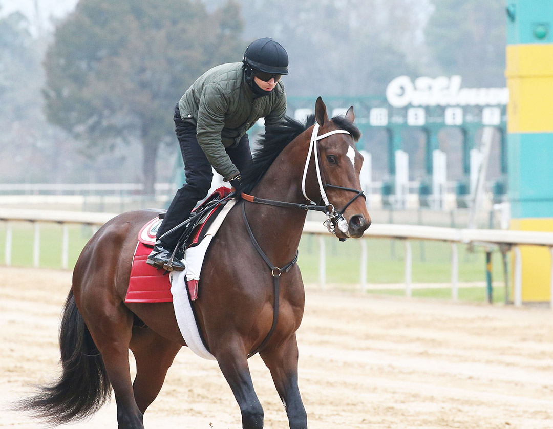 Keepmeinmind trains at Oaklawn in February 2021