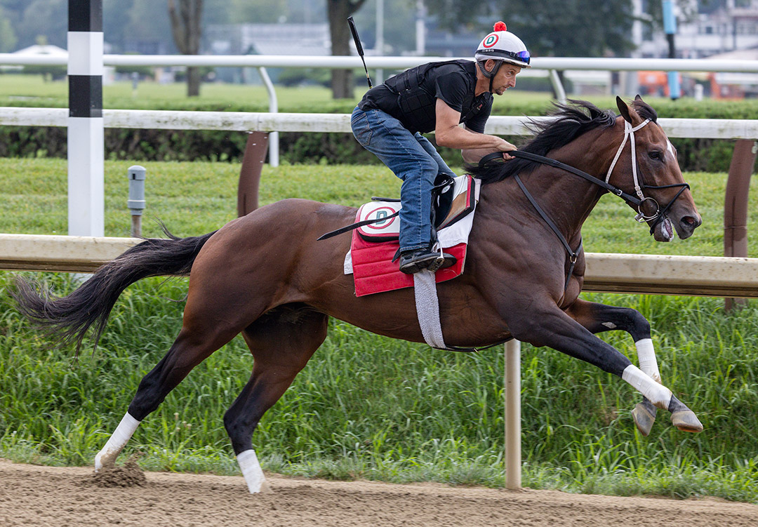 Keepmeinmind trains at Saratoga Race Course on Aug. 14