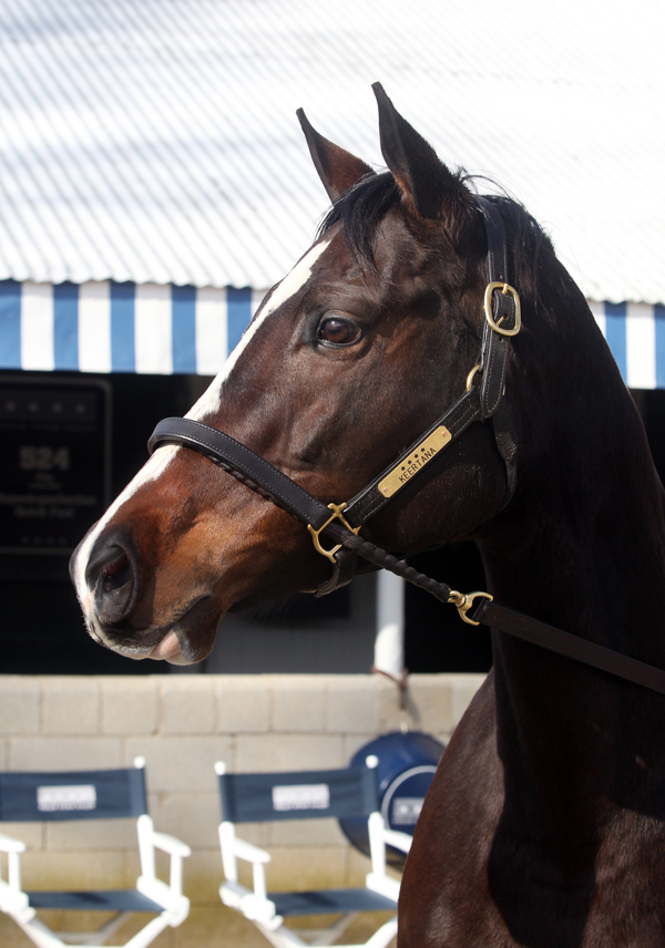 Keertana Keeneland sale