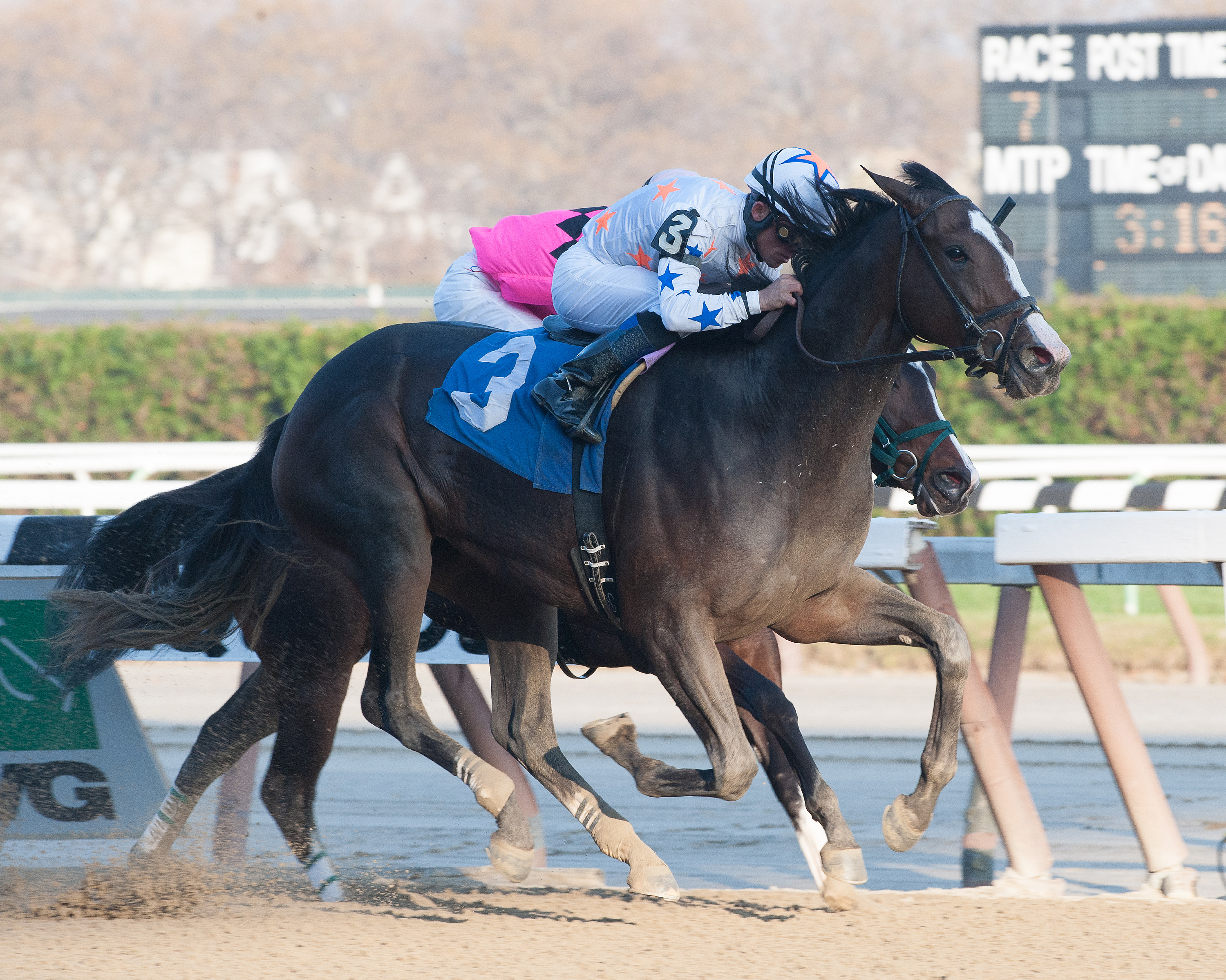 Kelli Got Frosty/New York Stallion Series Stakes - Fifth Avenue Division