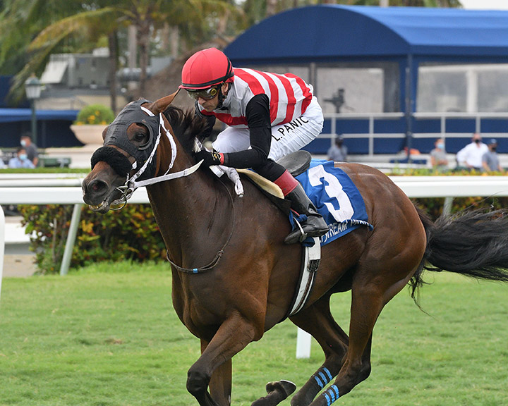 Kelsey's Cross wins the 2020 Ginger Punch Stakes at Gulfstream Park