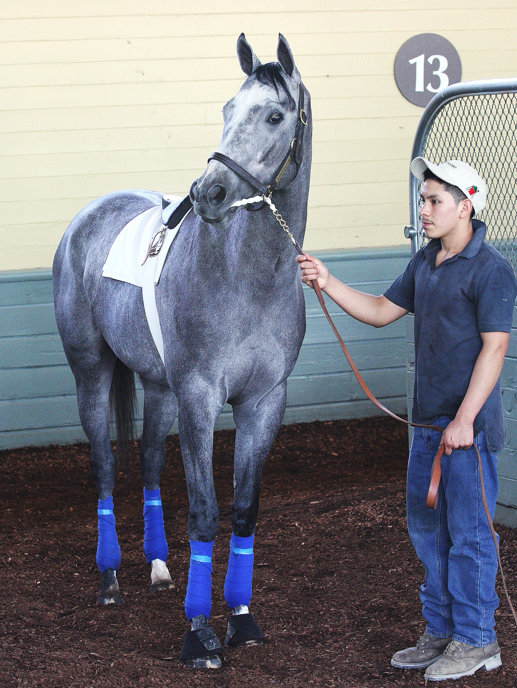 Kentuckian at Santa Anita