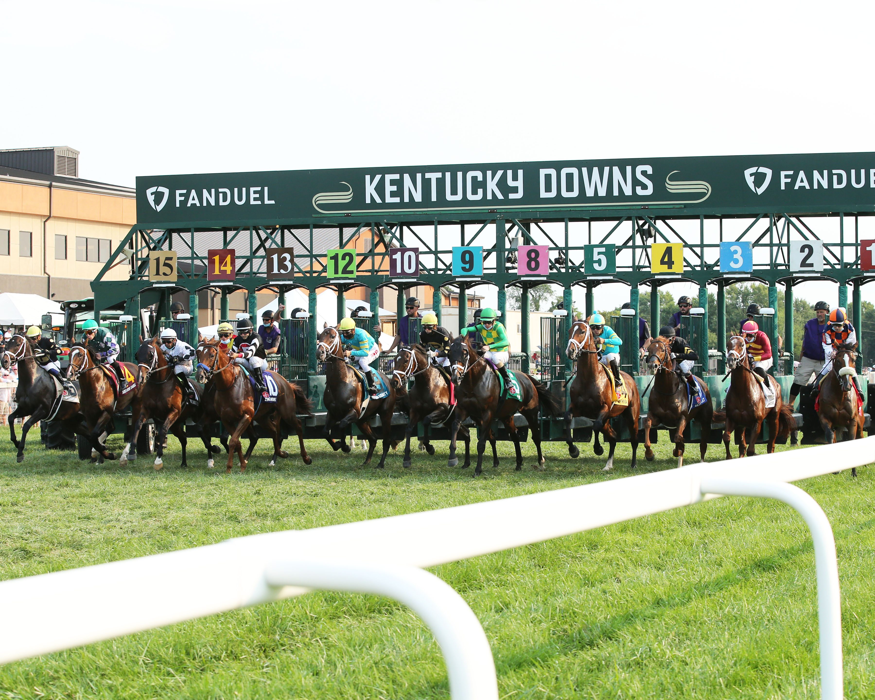Kentucky Downs y DRF se unen para ofrecer la transmisión de las carreras a través de DRF en Español