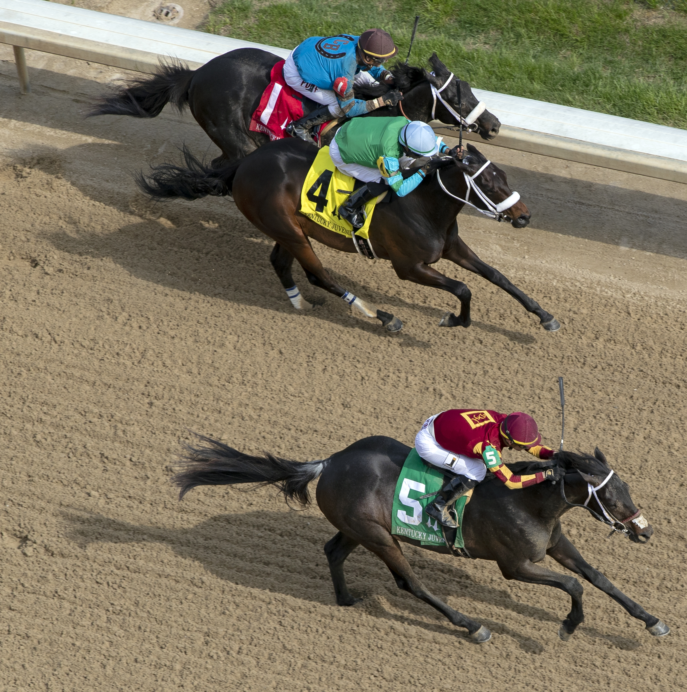 Rookie Salsa (No. 5) wins the 2019 Kentucky Juvenile