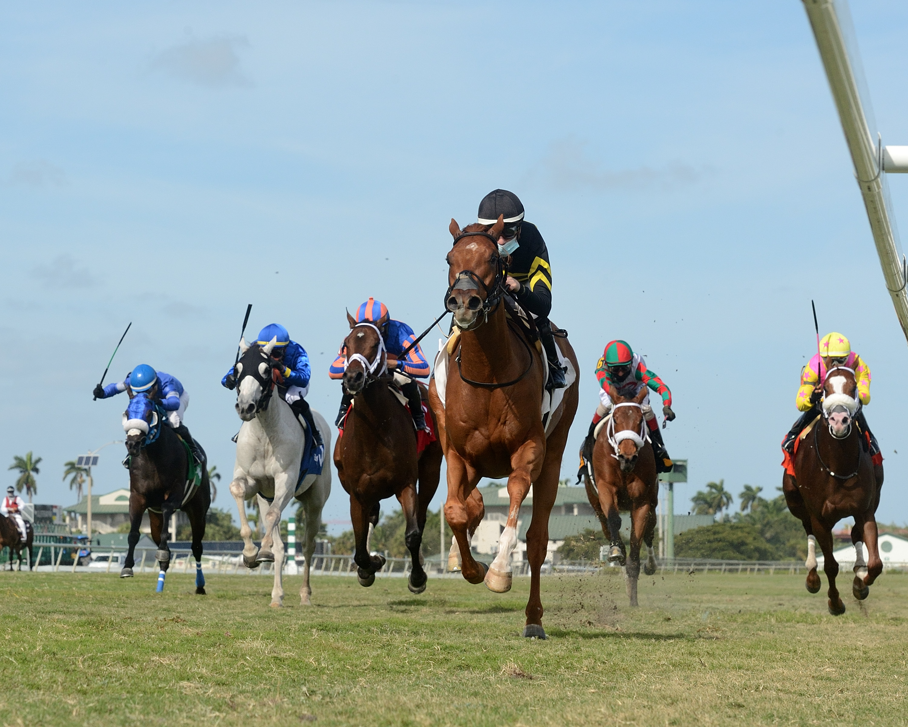 Kentucky Pharoah wins Dania Stakes