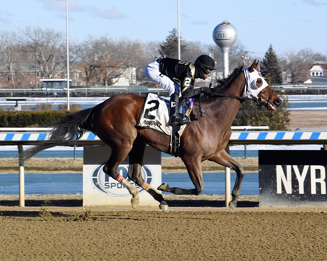Kept Waiting wins a Feb. 6 allowance at Aqueduct