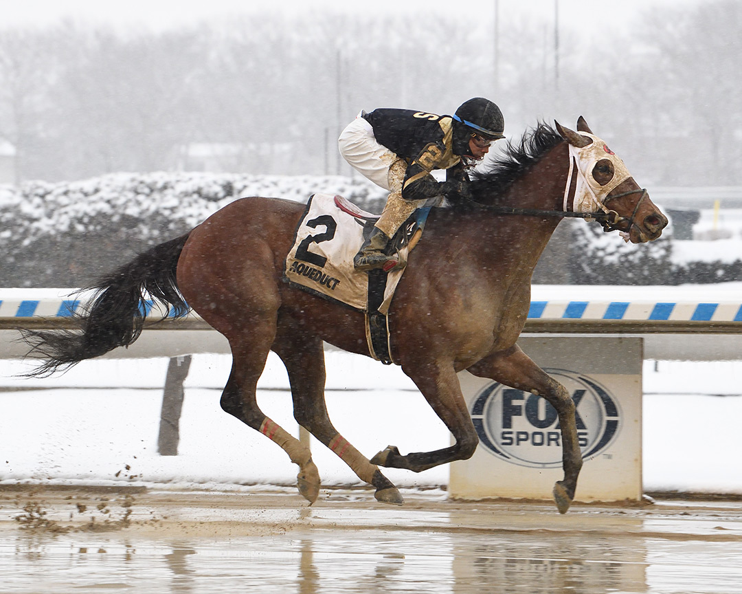 Kept Waiting wins the 2022 Broadway Stakes at Aqueduct Racetrack