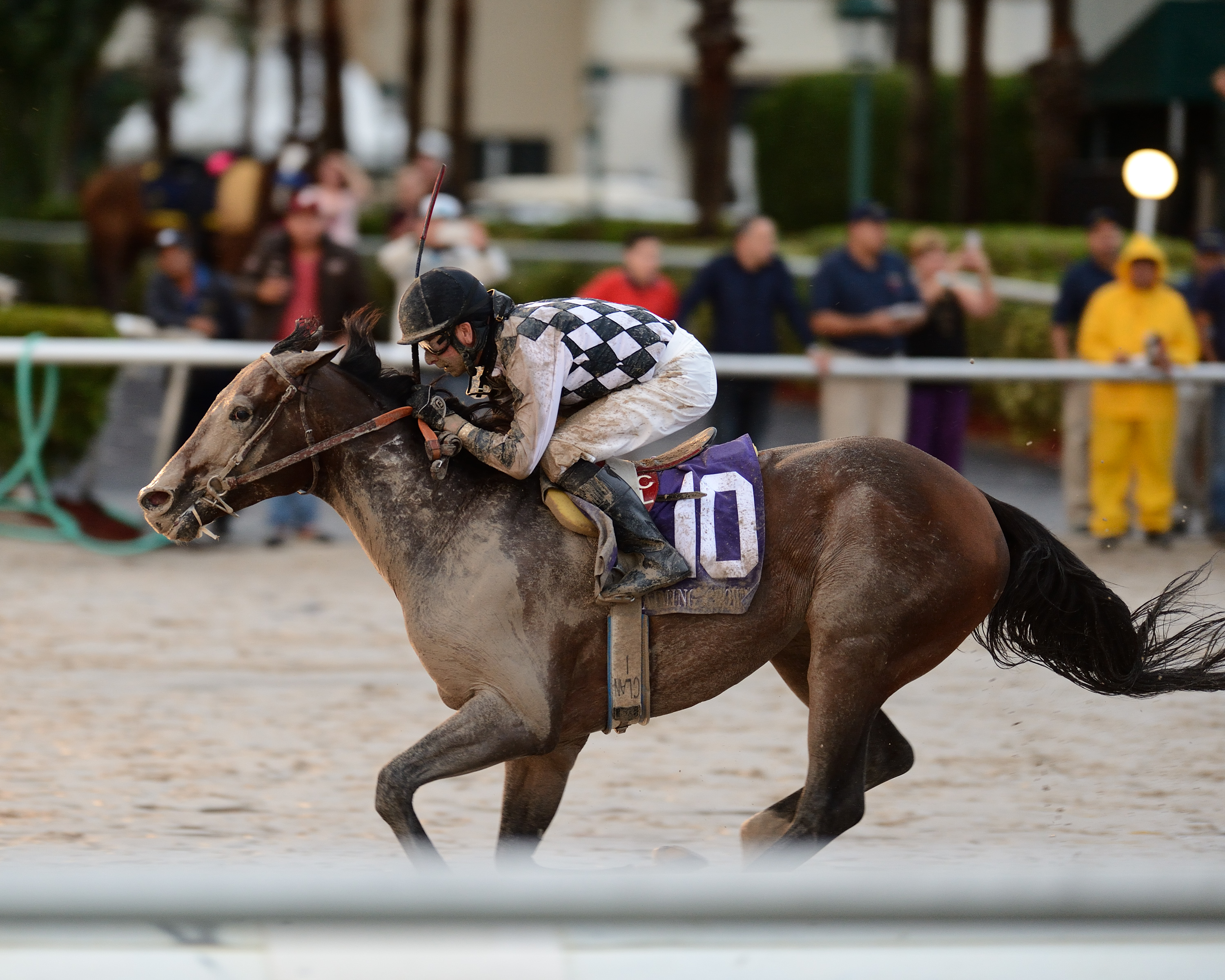 Key to Power wins 2015 Claiming Crown Emerald