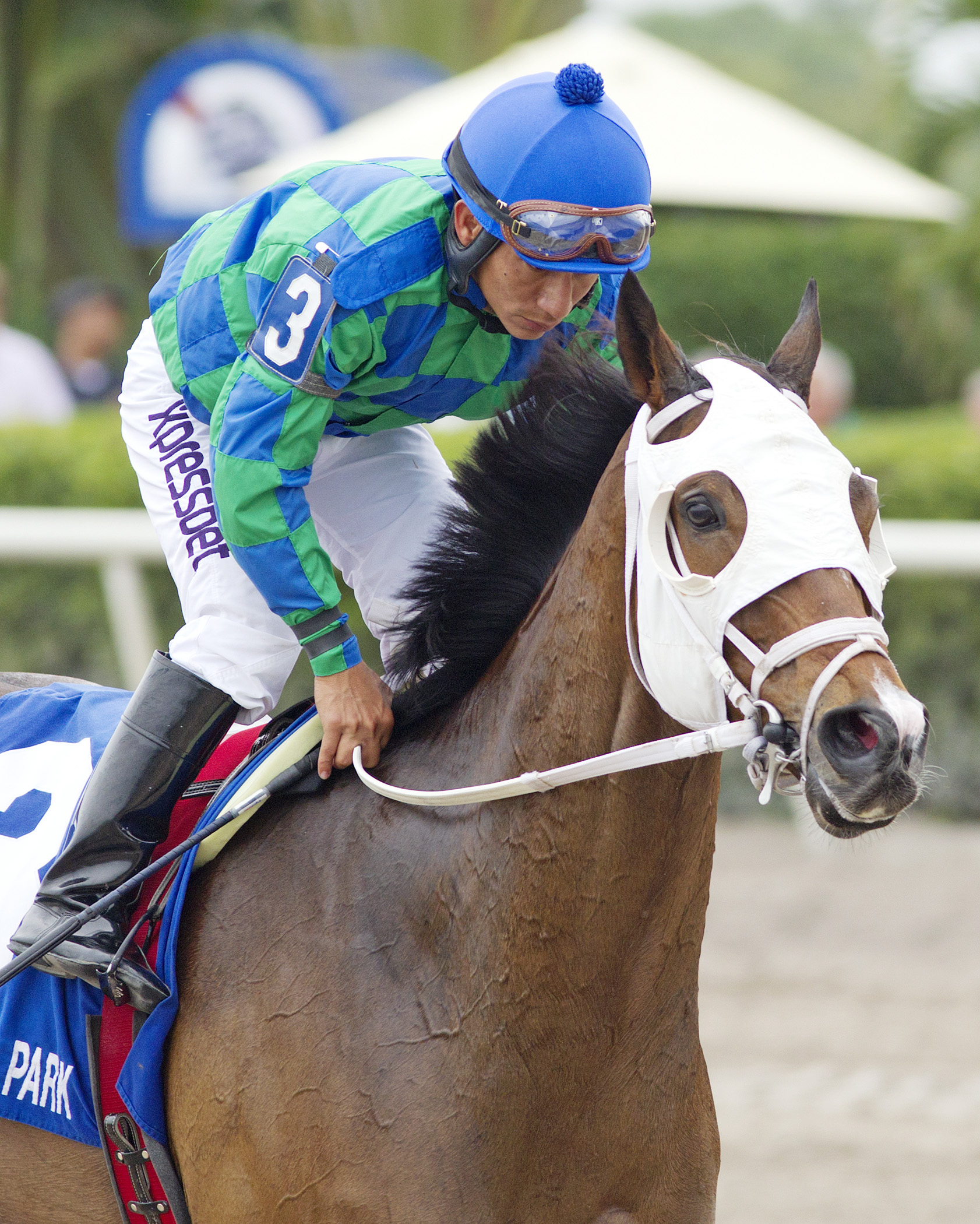 Kharafa at the Appleton Stakes