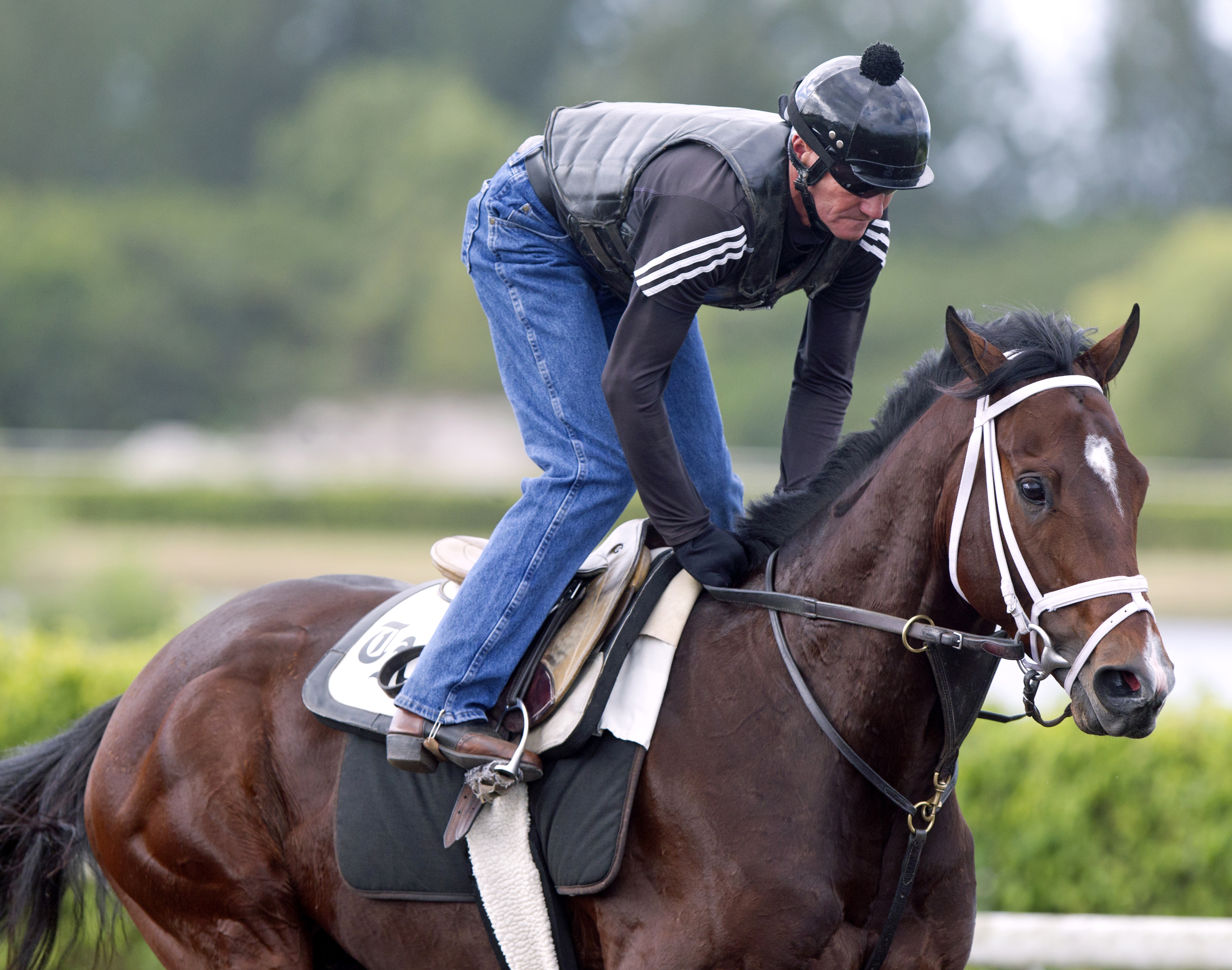 Khozan trains at Palm Beach Downs