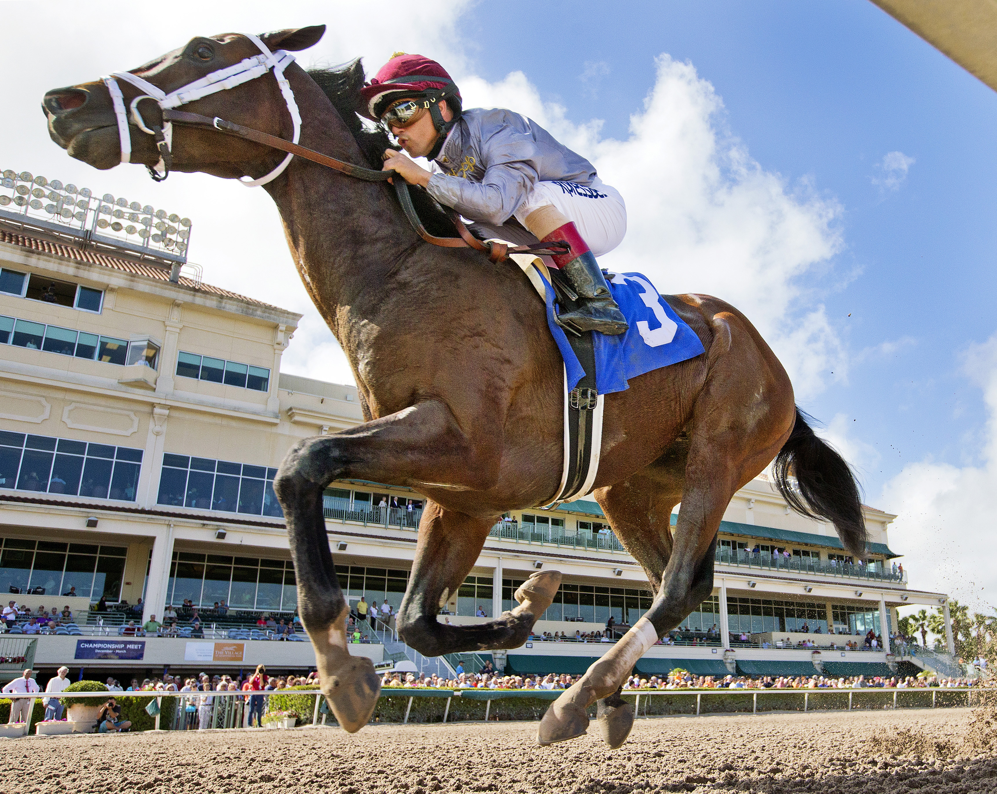 Khozan wins an allowance race