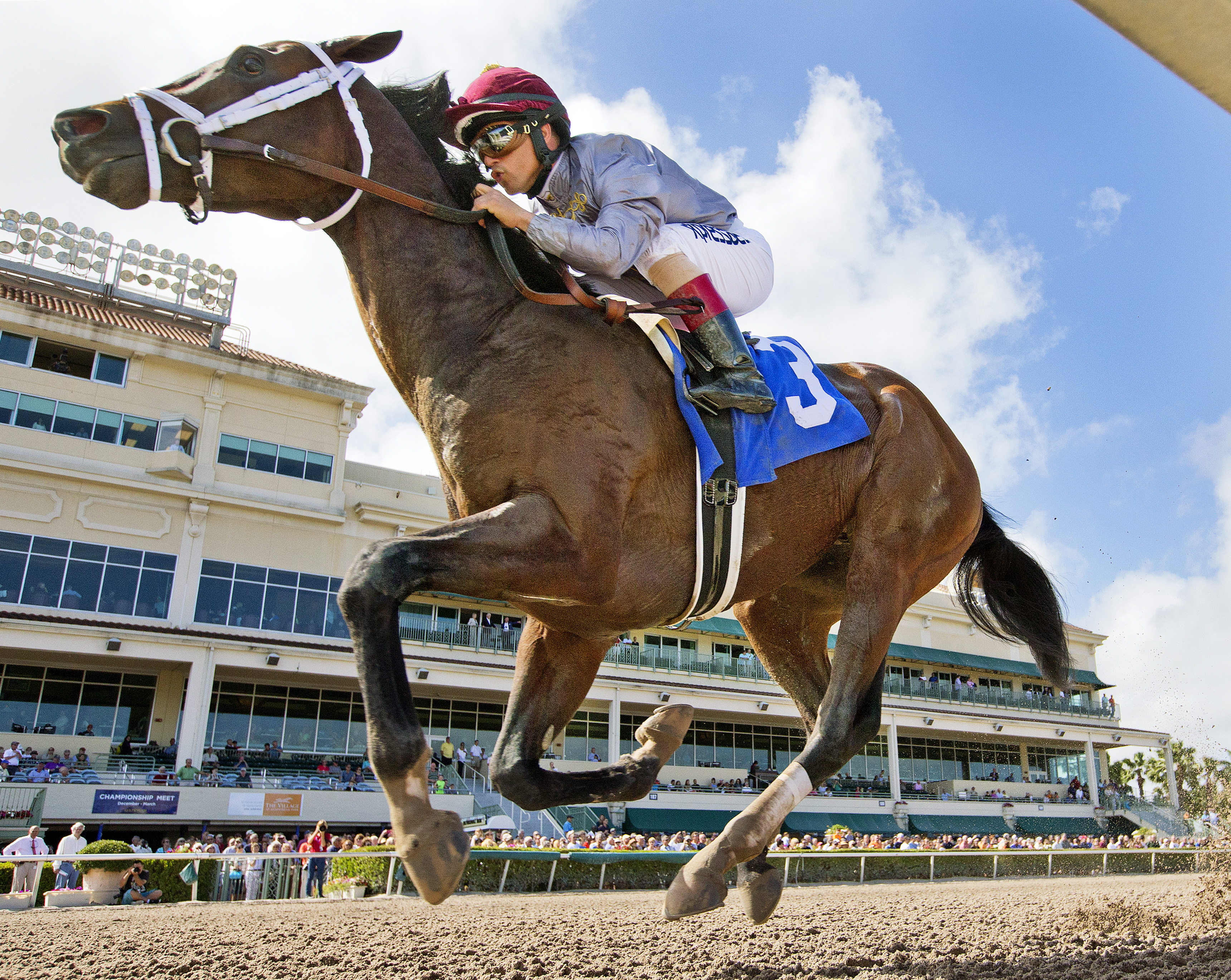 Khozan wins an allowance race
