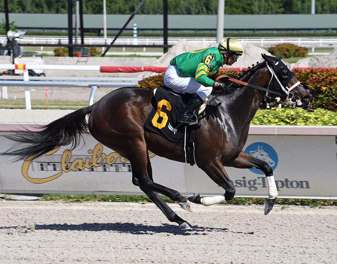 Khozmore wins an Oct. 14 allowance race at Gulfstream
