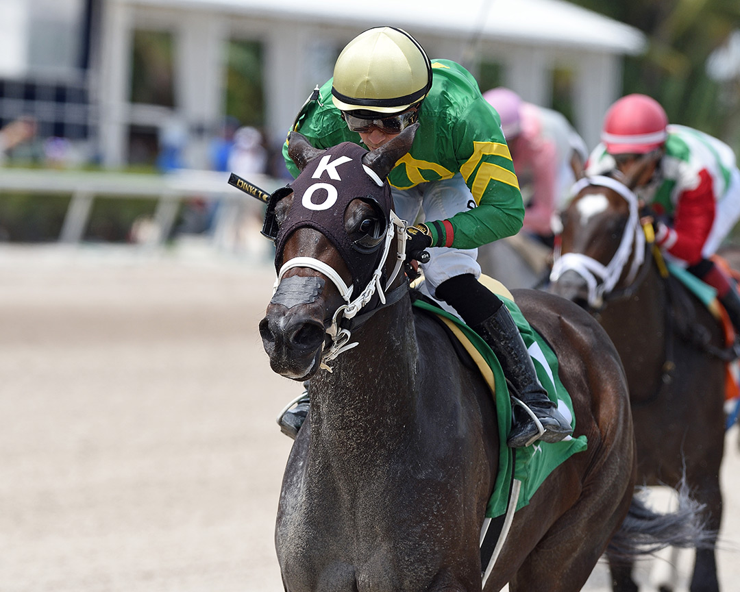 Khozmore wins an Aug. 28 allowance optional claimer at Gulfstream