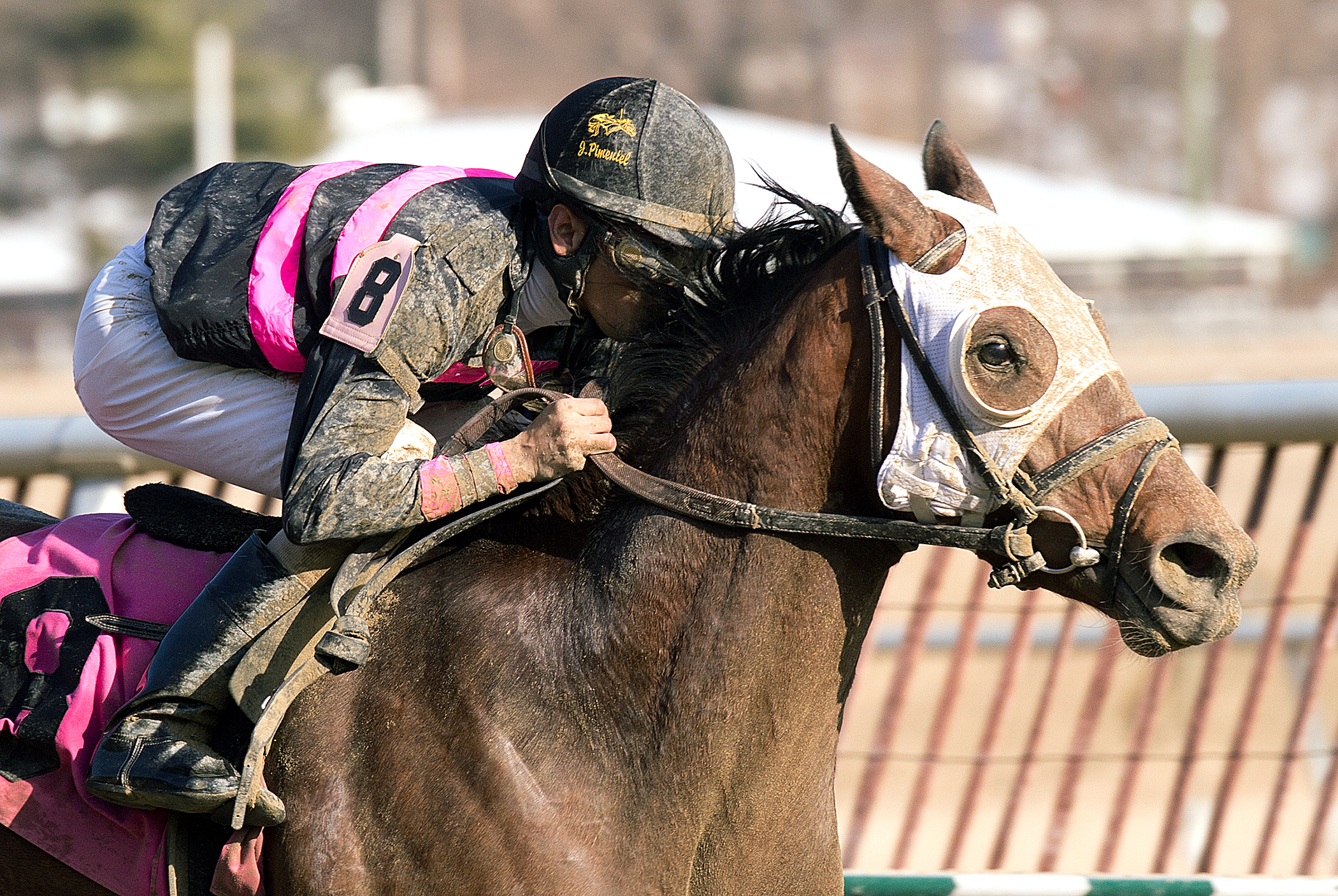 Kid Cruz wins the Private Terms Stakes