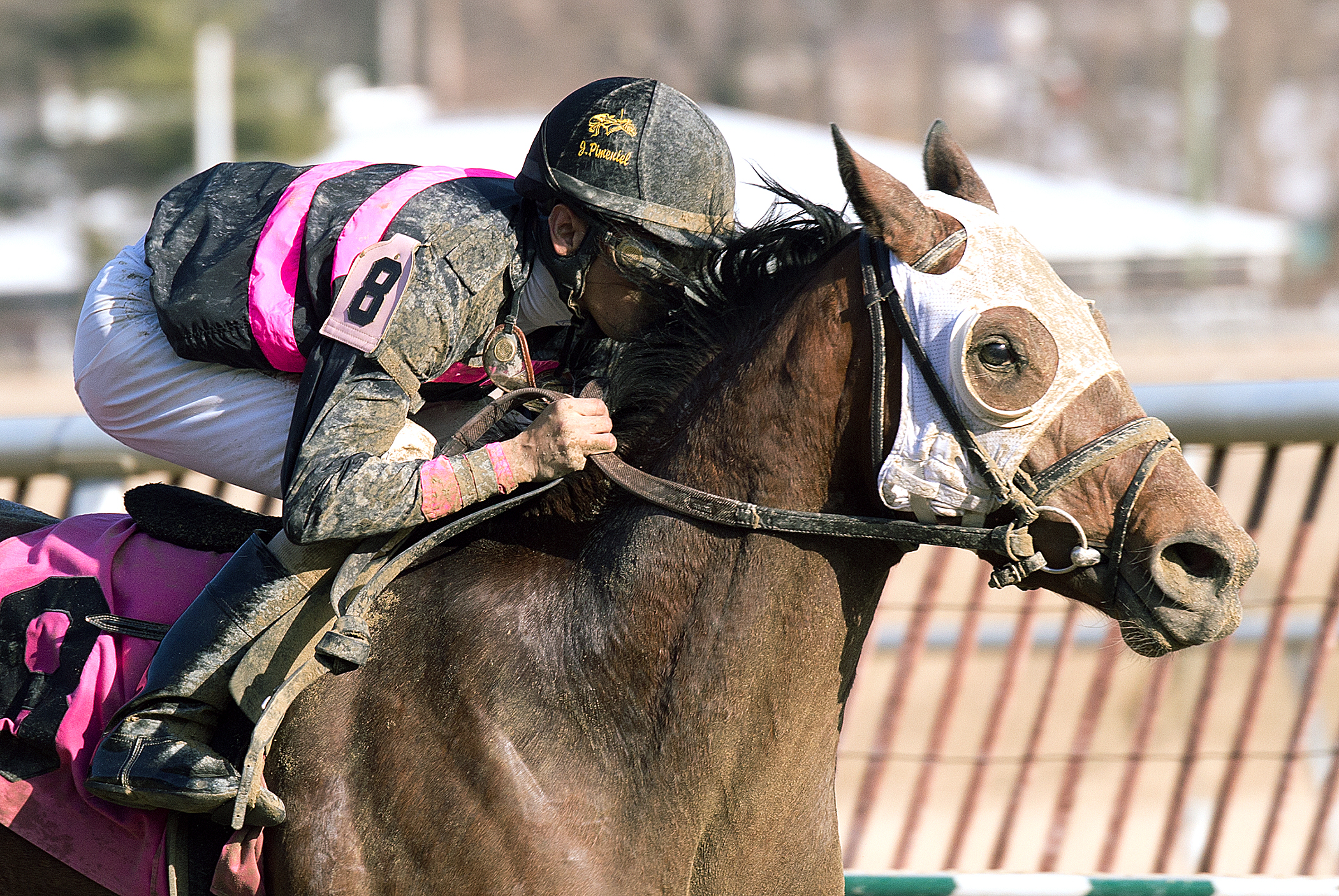 Kid Cruz wins the Private Terms Stakes