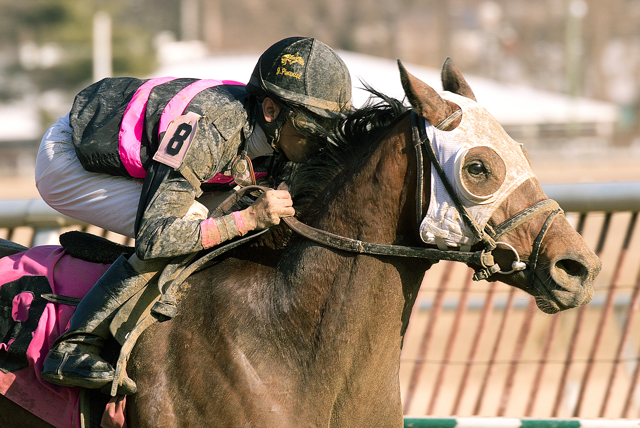 Kid Cruz wins the Private Terms Stakes