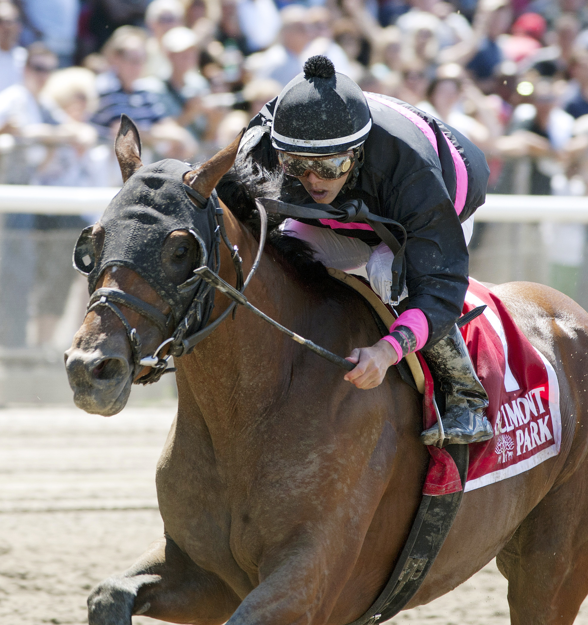 Kid Cruz wins the Dwyer Stakes