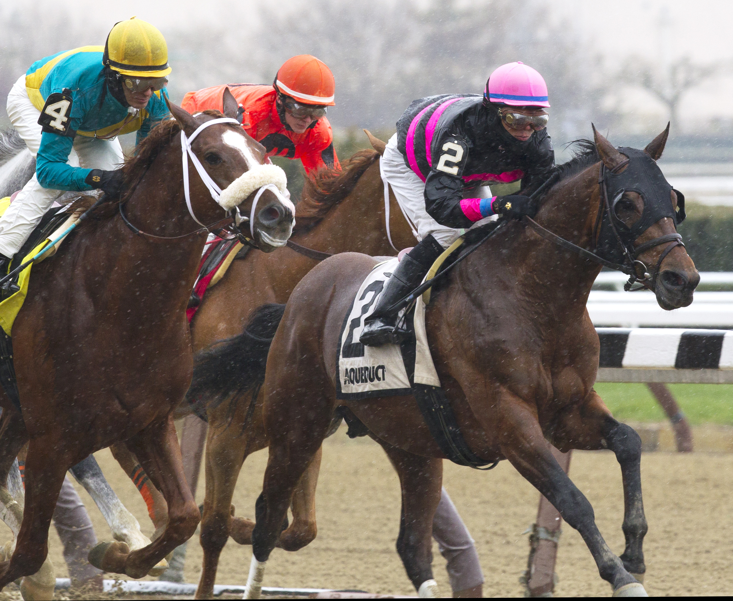Kid Cruz wins the Excelsior Stakes