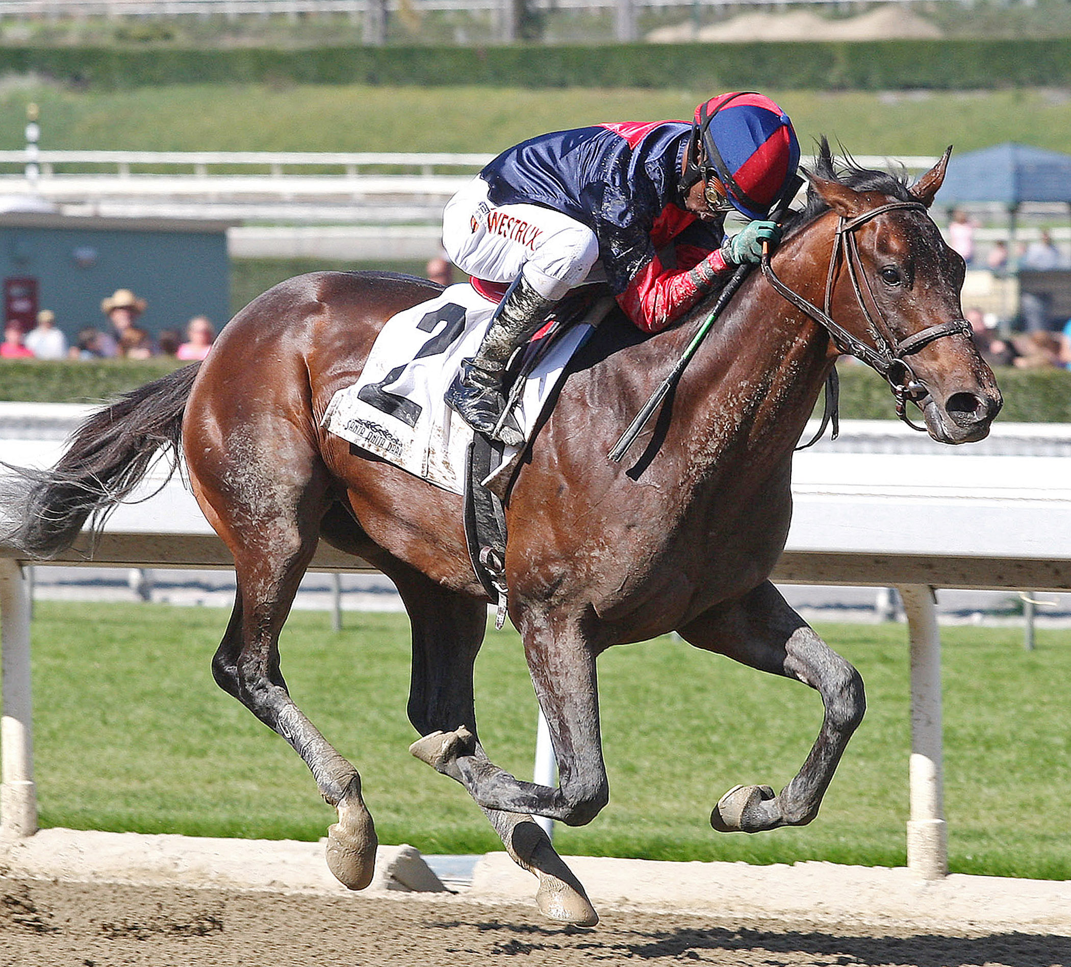 Kid Dreams, maiden win at Santa Anita