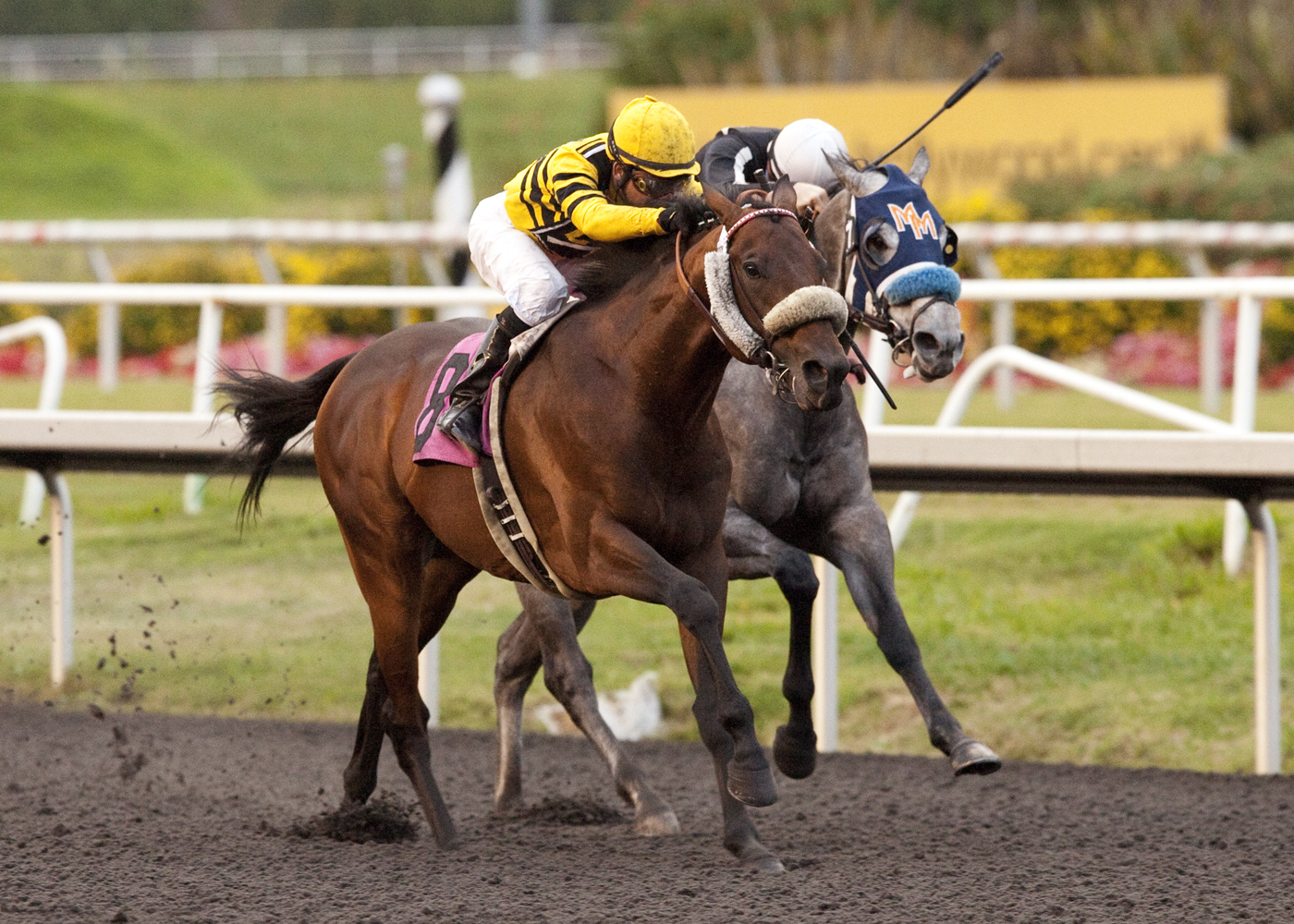 Killer Bear/On Trust Handicap