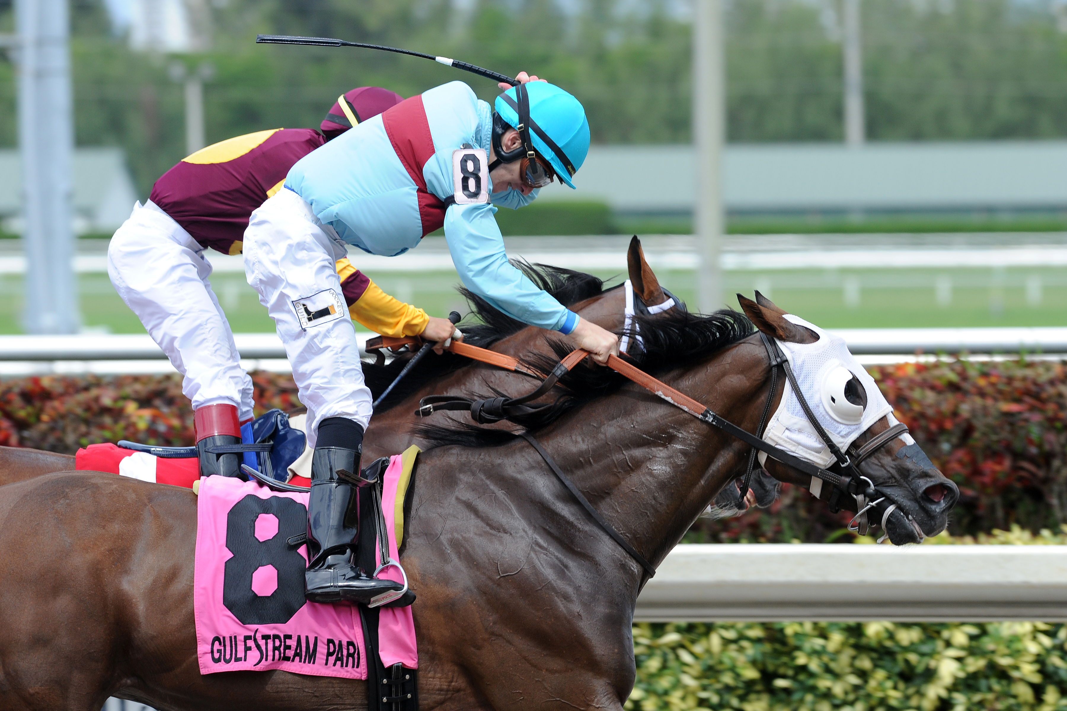 Killer Bird wins the Barely Even Stakes