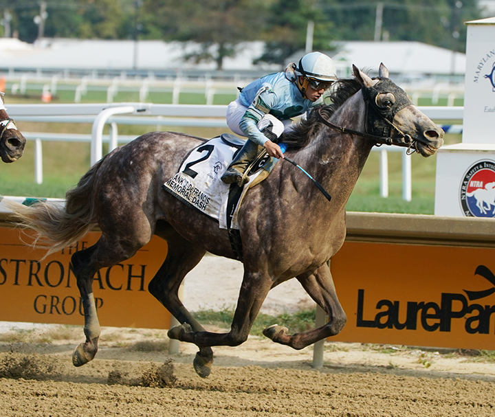 Killybegs Captain wins the 2019 Frank J. DeFrancis Memorial Dash at Laurel Park