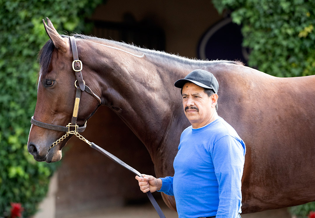 Kimari at Del Mar in November 2021