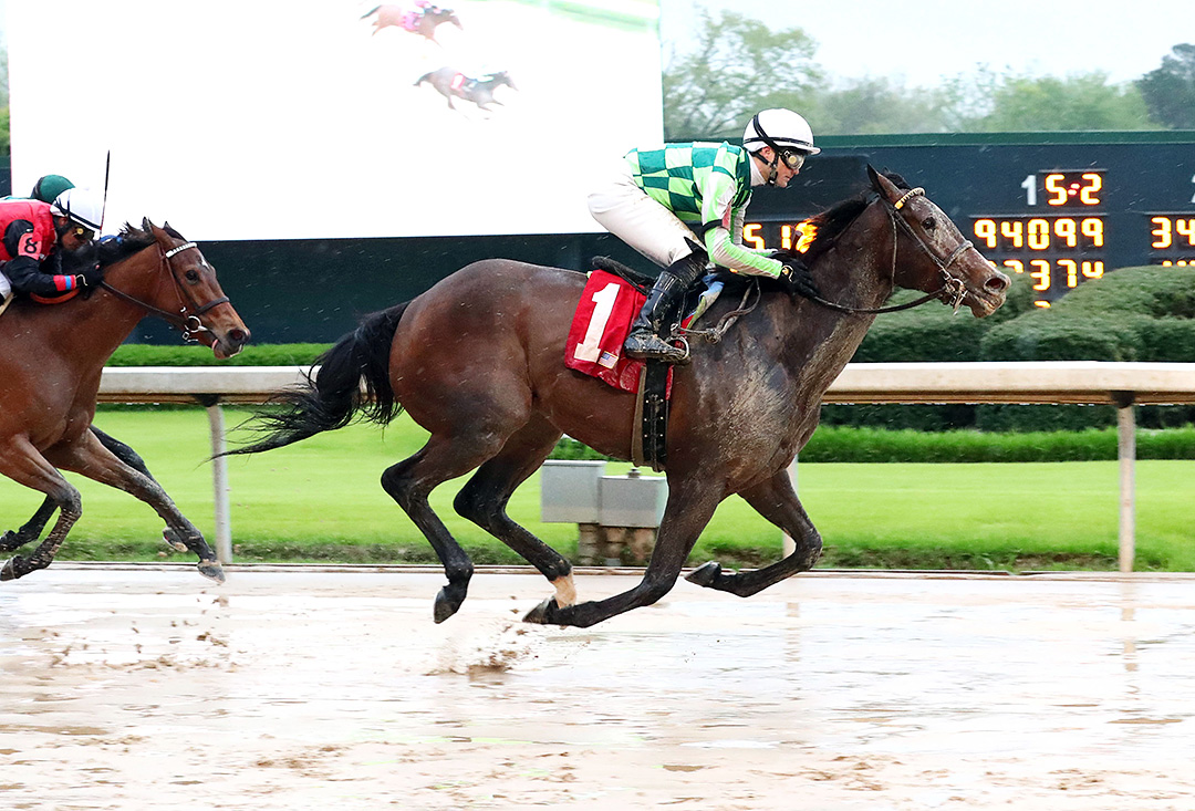 Kimari wins the 2020 Purple Martin Stakes at Oaklawn