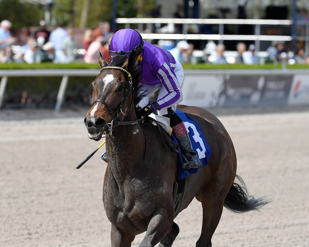 Kimari wins a March 3 optional claiming race at Gulfstream Park