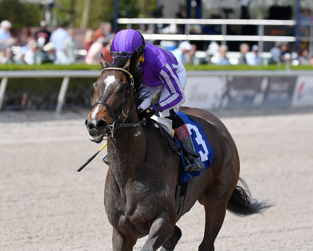 Kimari wins a March 3 optional claiming allowance at Gulfstream Park