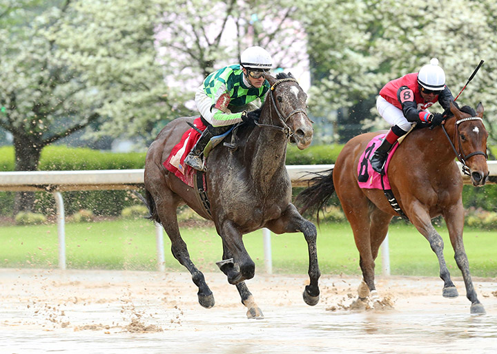 Kimari wins the 2020 Purple Martin Stakes at Oaklawn