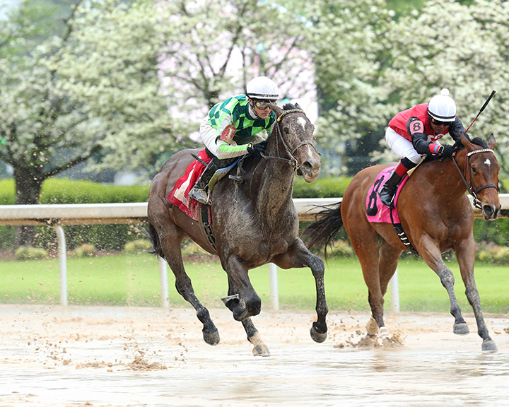 Kimari (left) wins the 2020 Purple Martin Stakes at Oaklawn Park