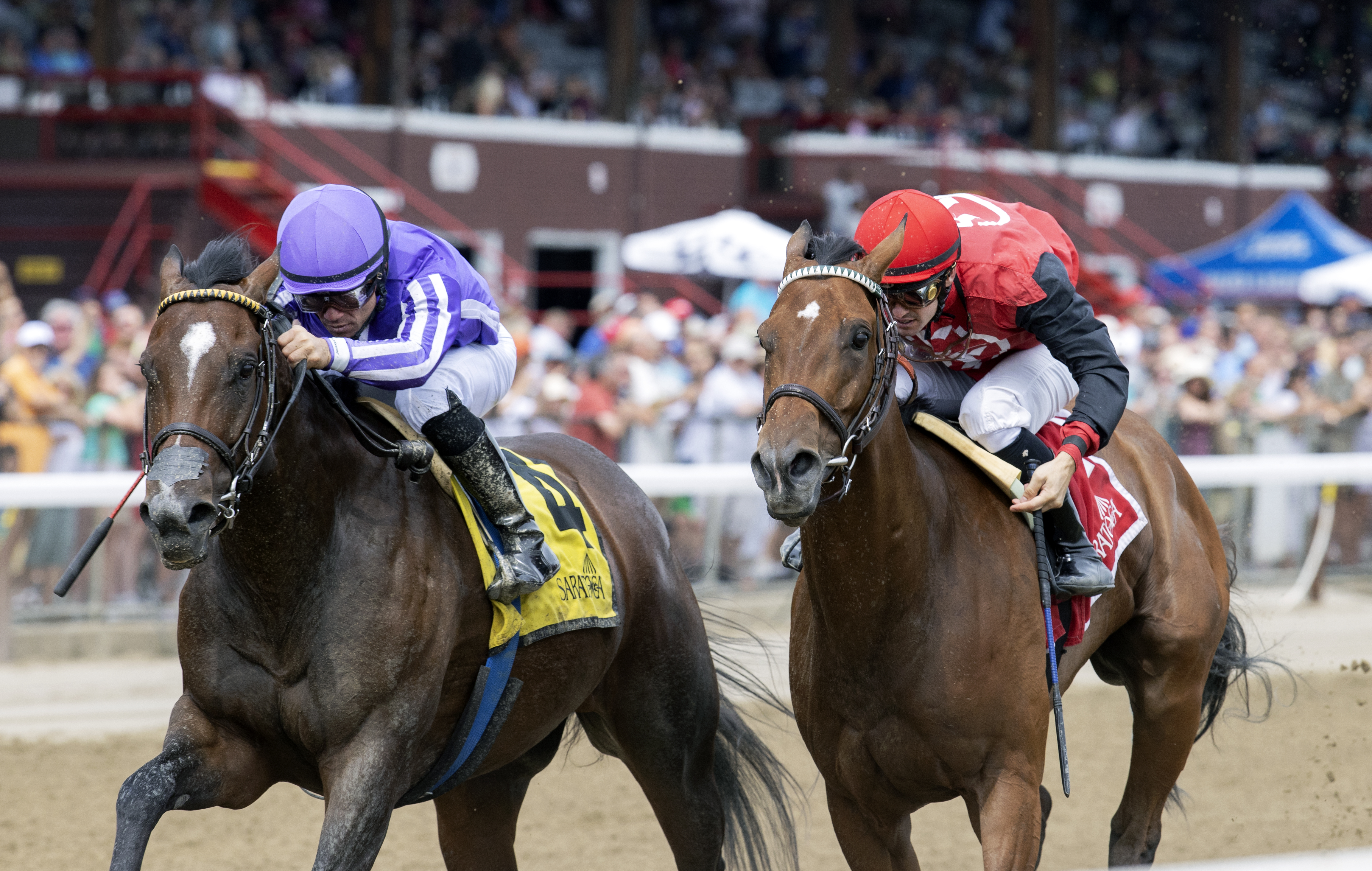 Kimari supera a Frank's Rockette en el Honorable Miss G2
