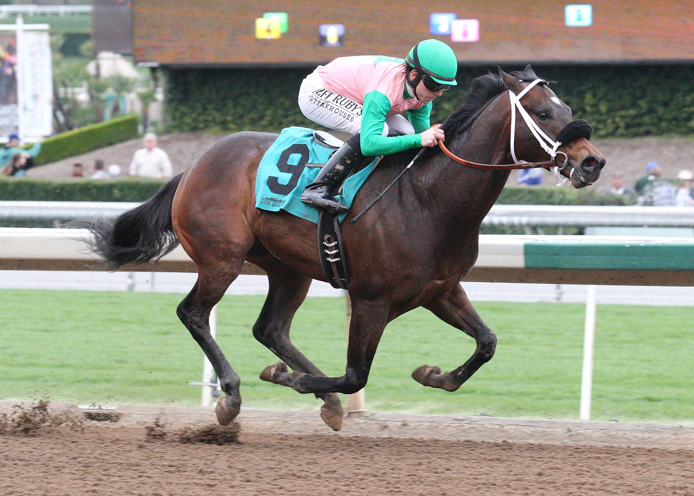 Kimbear wins a maiden race