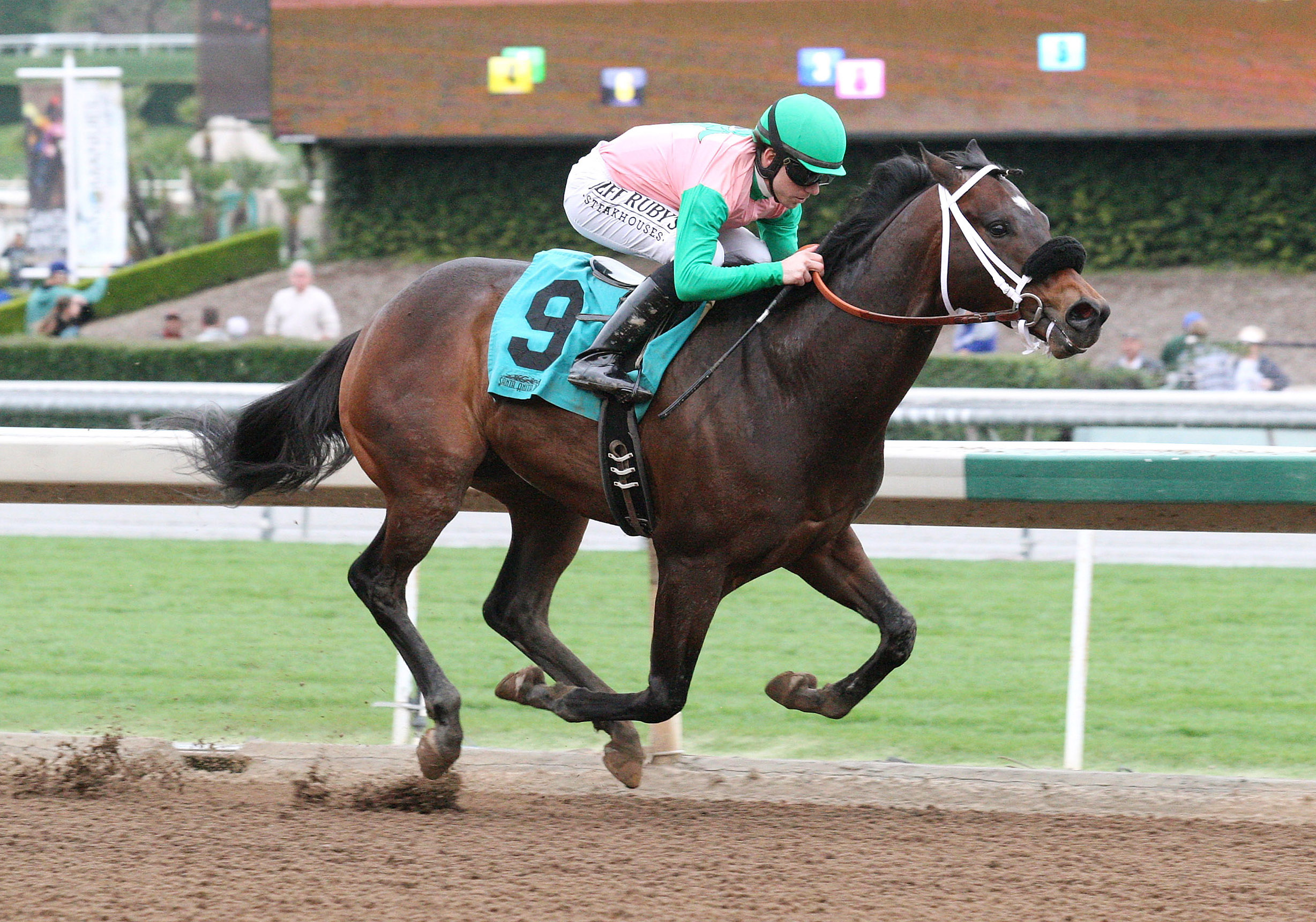 Kimbear wins a maiden race