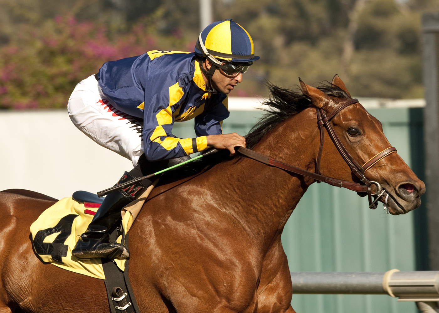 Kindle, Edwin Maldonado, Cool Air Stakes