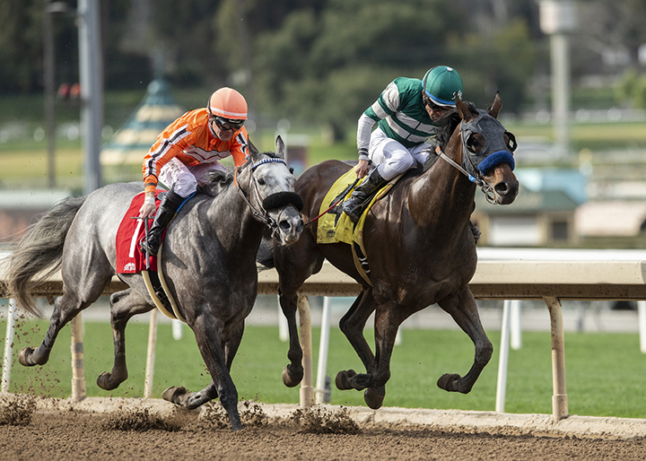 King Abner (left) finishes second in the 2019 Tiznow Stakes at Santa Anita Park
