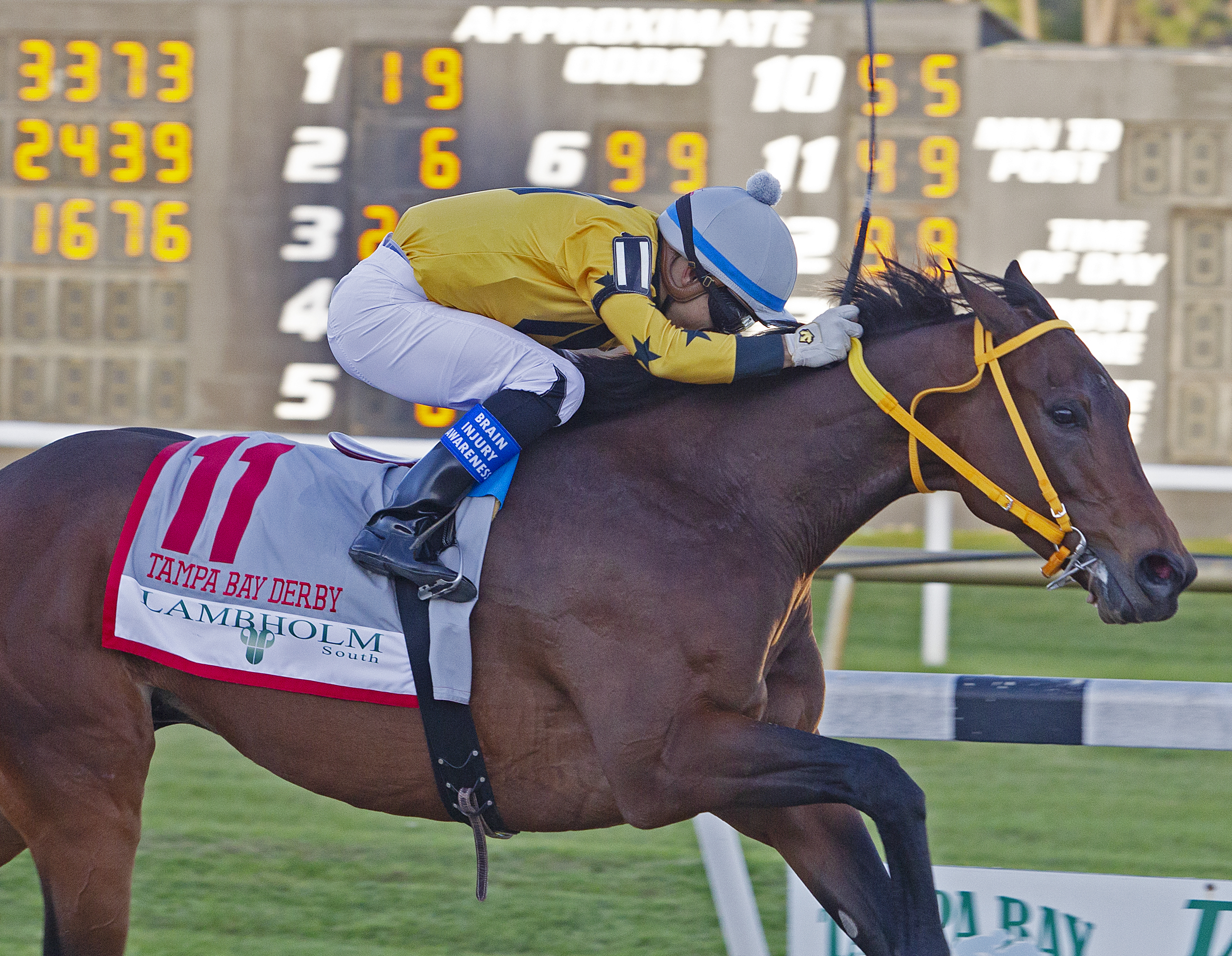 King Guillermo wins the 2020 Tampa Bay Derby