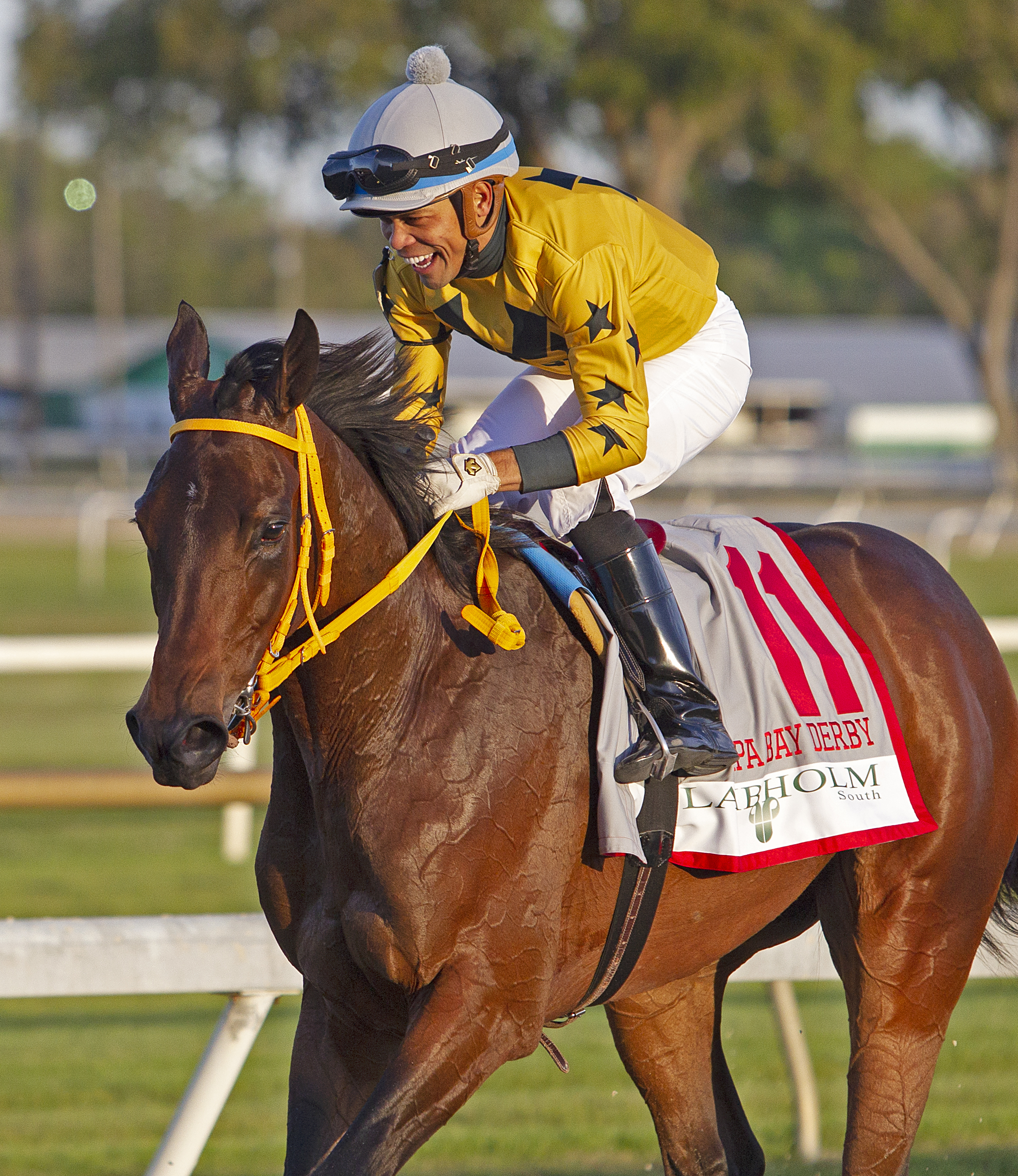 King Guillermo following victory in the 2020 Tampa Bay Derby