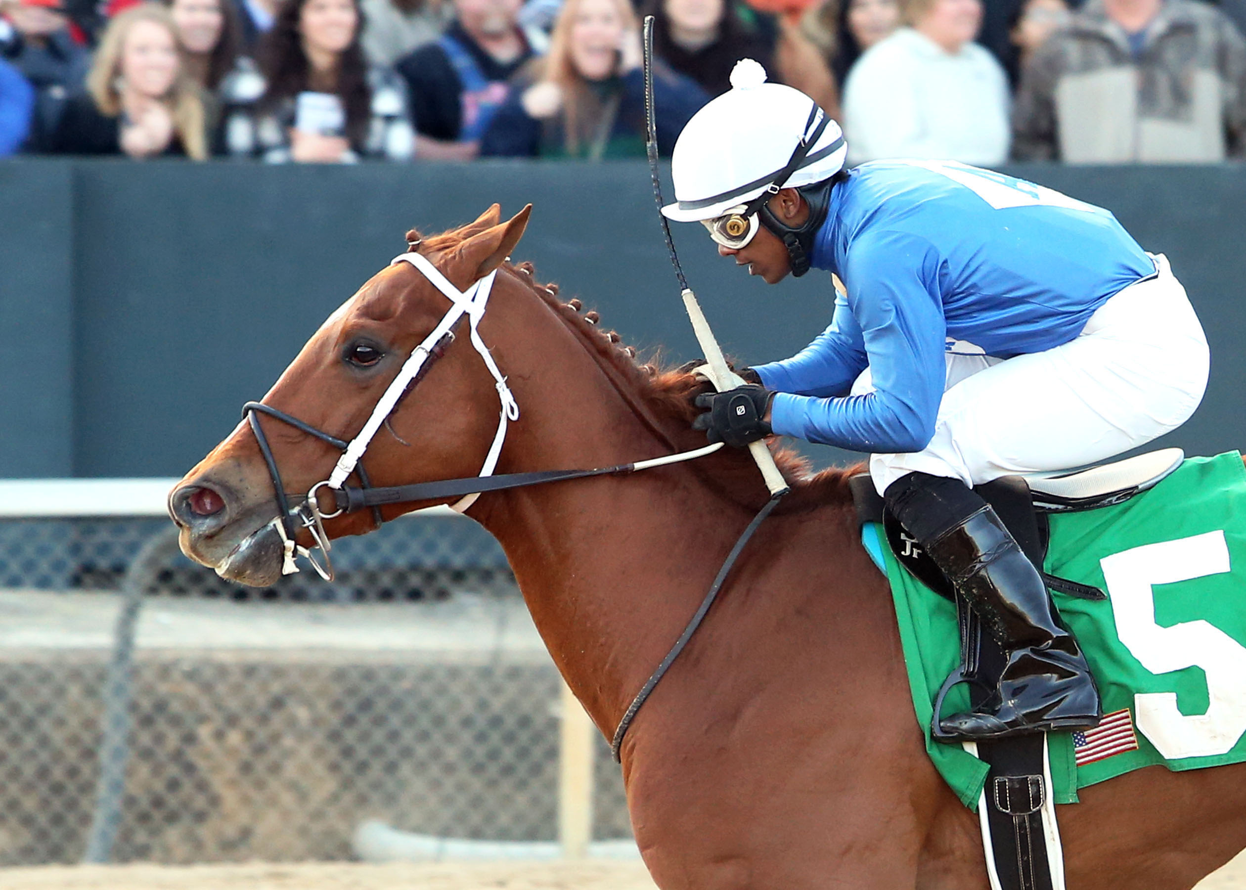 King Henny, Gazebo Stakes