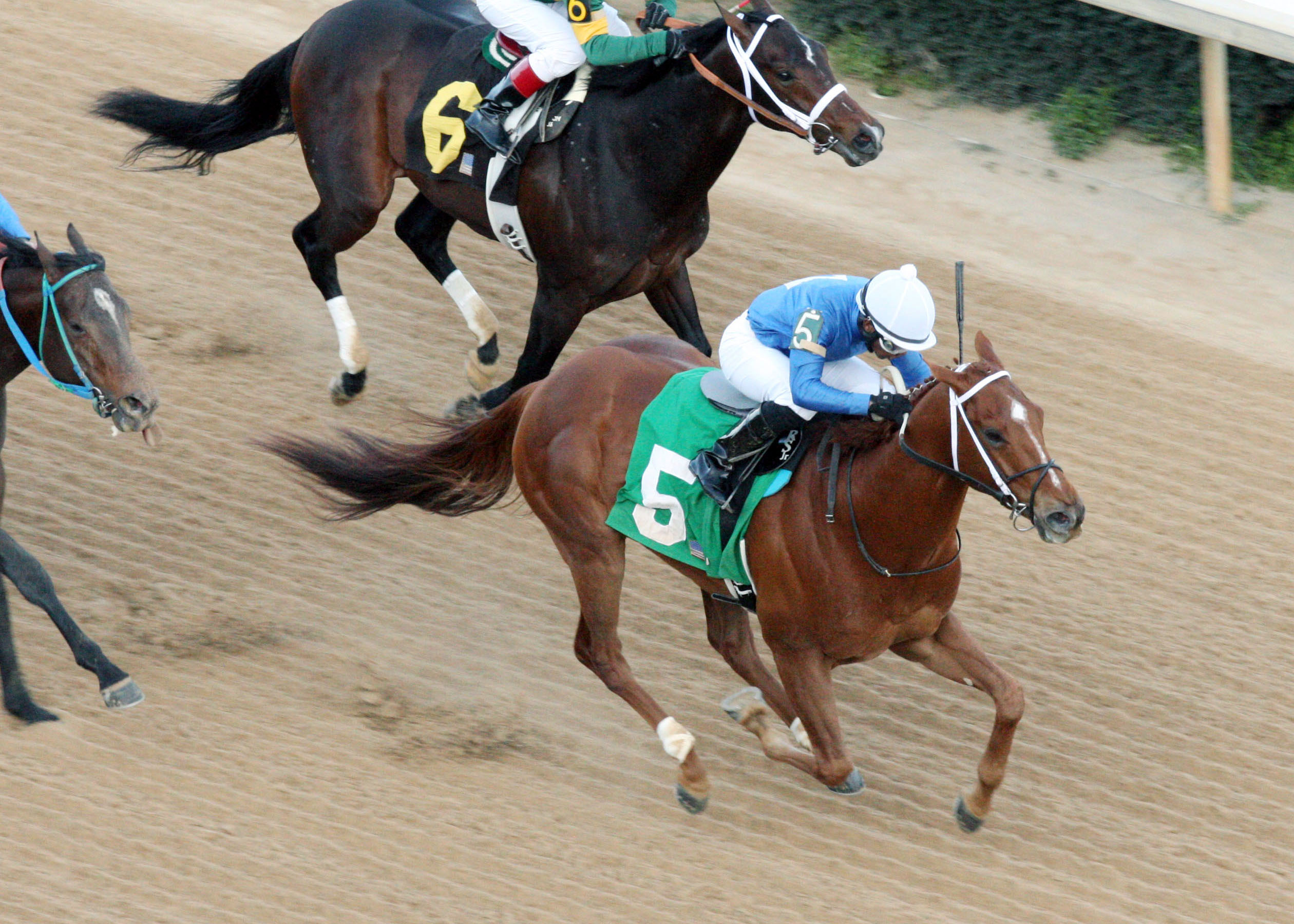 King Henny/Gazebo Stakes