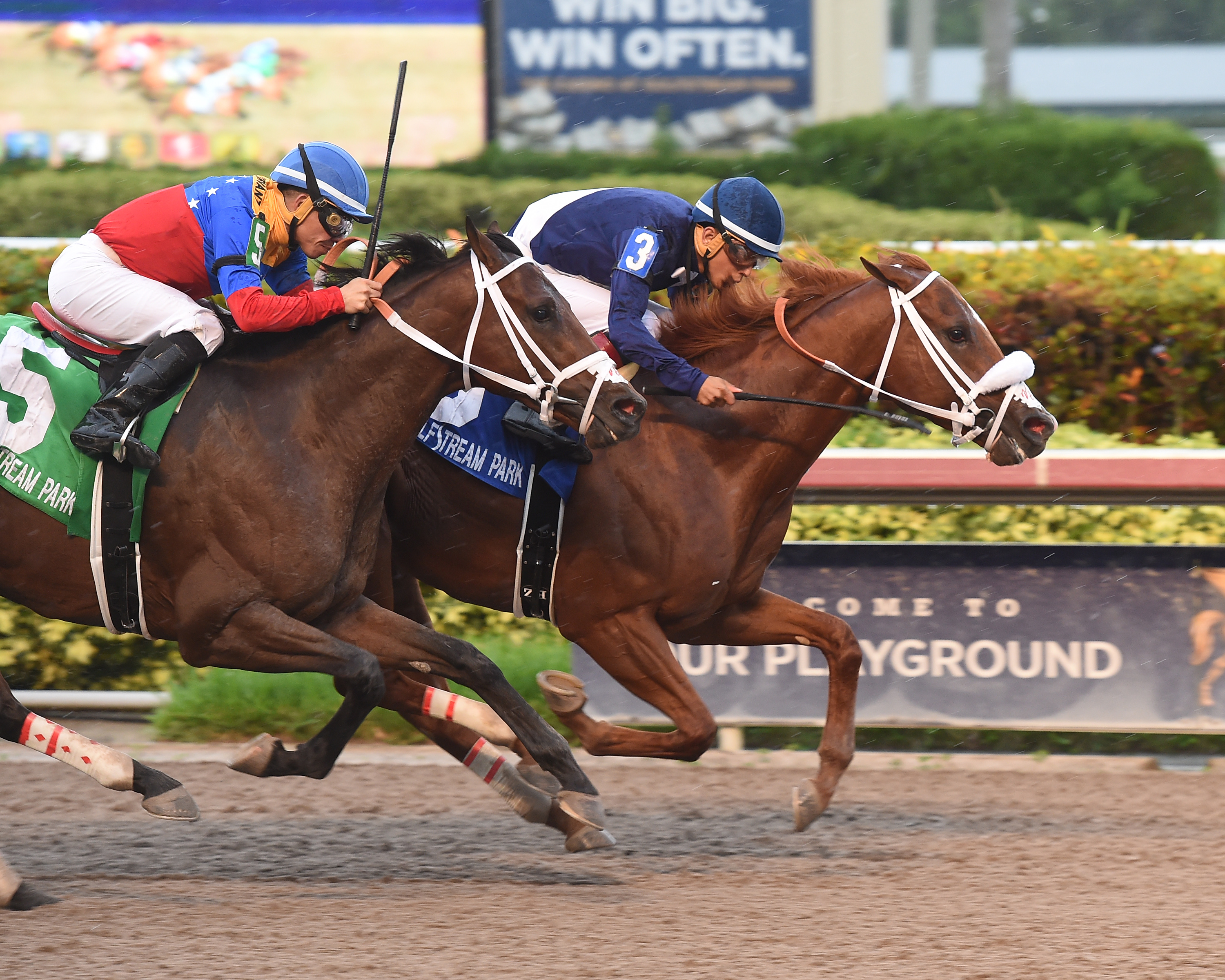 King Humor (right) wins the 2018 Ocala Flame Stakes
