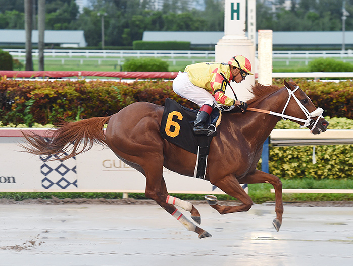 King Humor wins a June 14 allowance