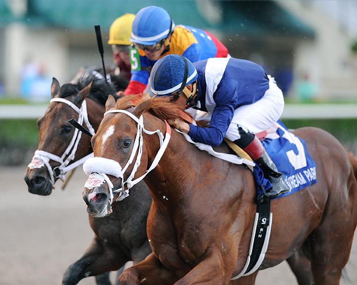 King Humor wins the 2018 Ocala Flame Stakes