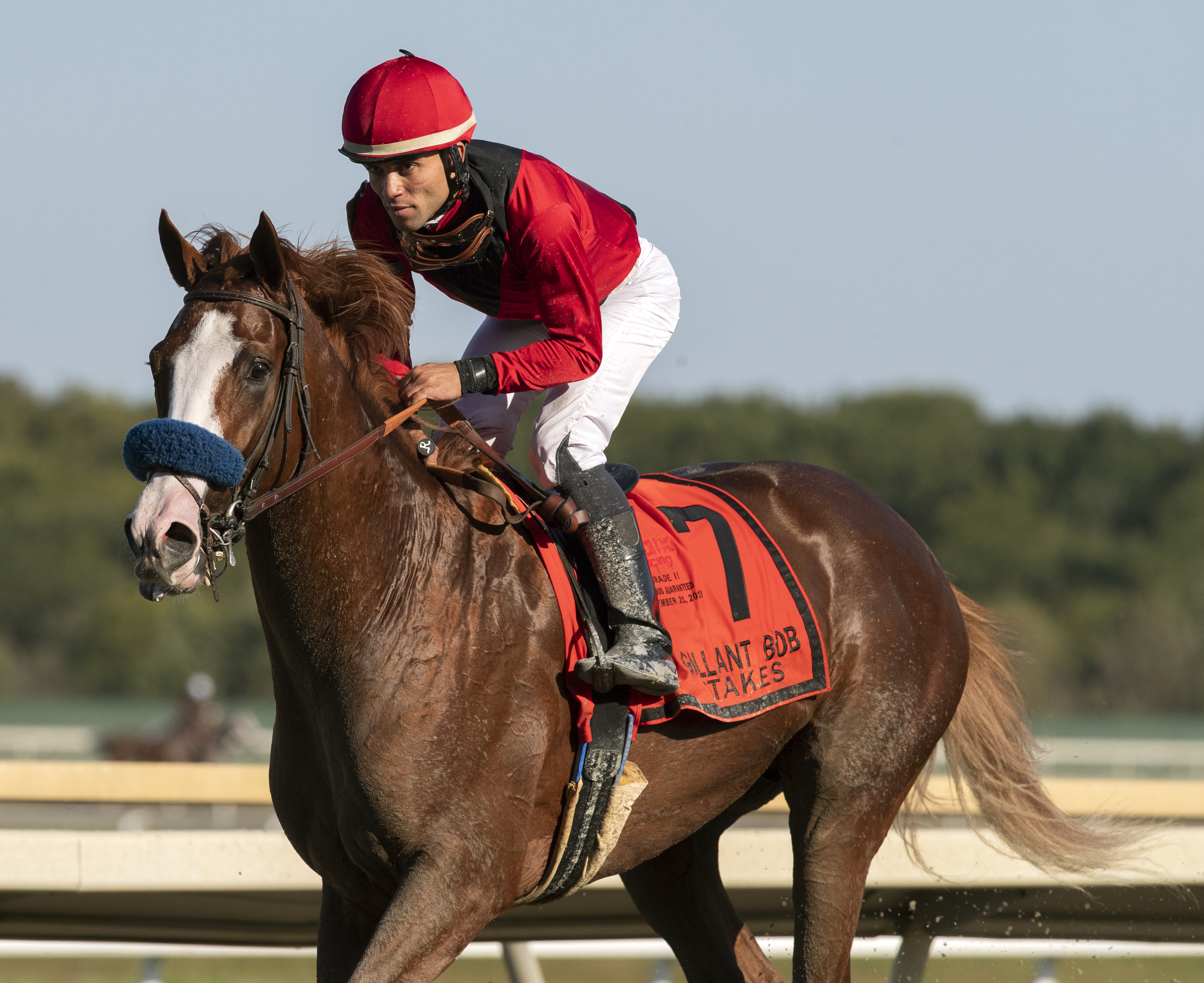 King Jack following victory in the 2019 Gallant Bob Stakes