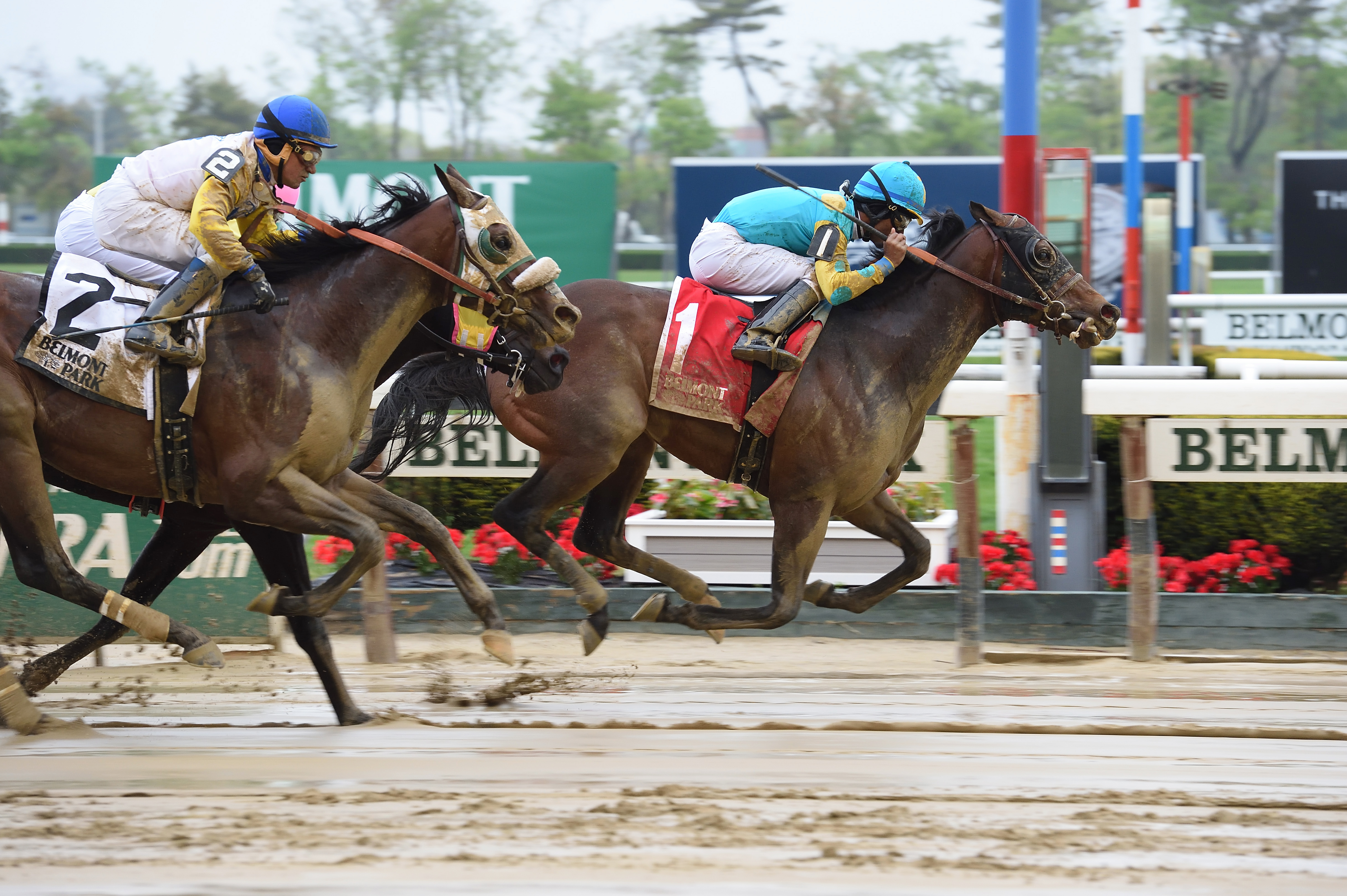 King Kranz wins the Gold Fever