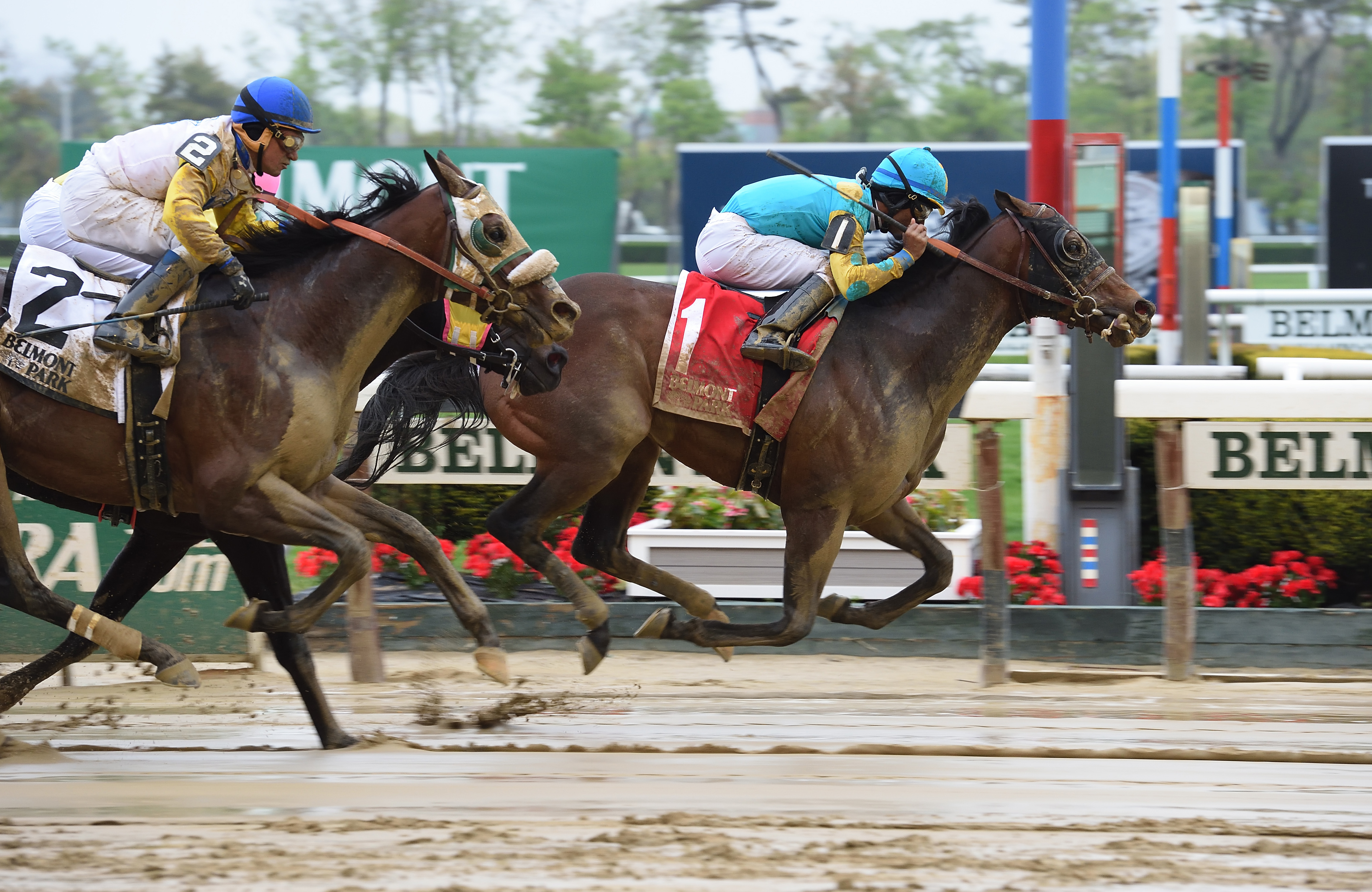 King Kranz wins the Gold Fever